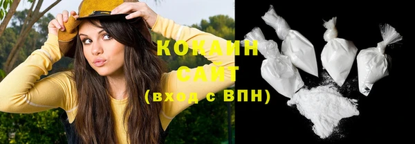 мдпв Вяземский