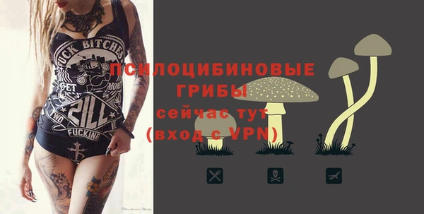 таблы Горнозаводск