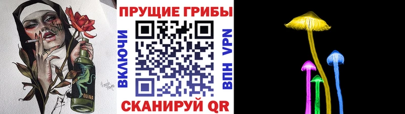 Псилоцибиновые грибы Psilocybe  Купить закладки  Петушки 